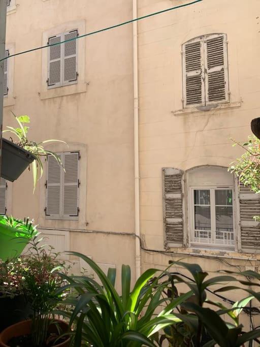 Petit Boucan 47m2 Dans Le Coeur Du Panier Appartement Marseille